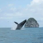 flavien-fischer-tours-excursions-tour-operateur-guide-photos-029